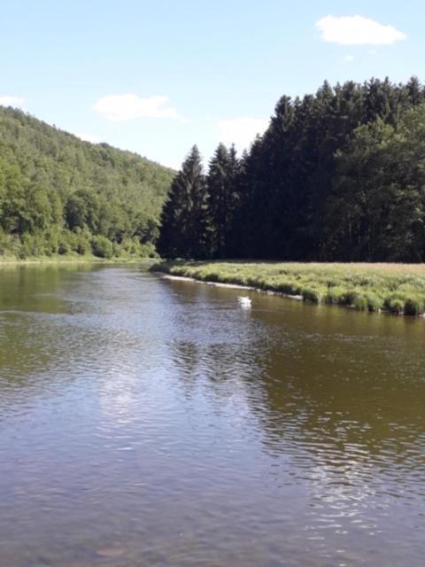 Vieux Logis Een Prachtige Ardeense Vakantiewoning Vresse-sur-Semois Exteriör bild
